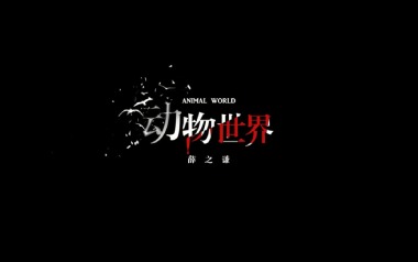 动物世界吉他谱_薛之谦_C调原版弹唱谱_图片六线谱