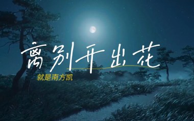 离别开出花吉他谱_就是南方凯_G调原版_图片六线谱