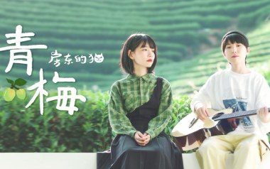 青梅吉他谱_房东的猫_G调指法原版弹唱谱_图片六线谱