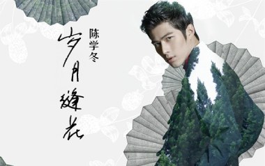 岁月缝花吉他谱_陈学冬_G调指法原版弹唱谱_图片六线谱