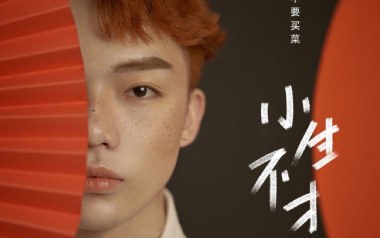 小生不才吉他谱_要不要买菜_C调原版弹唱谱_图片六线谱