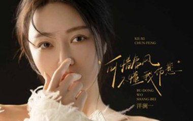 可惜春风不懂我伤悲吉他谱_洋澜一_G调弹唱谱_图片六线谱