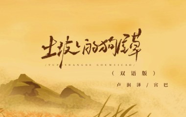 土坡上的狗尾草吉他谱_卢润泽_C调弹唱谱_图片六线谱